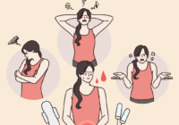 4 Stages of Menstrual Cycle