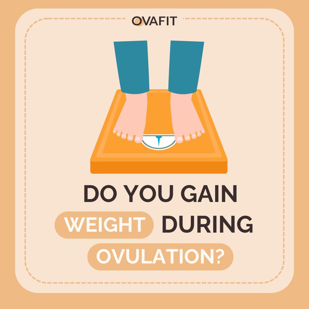 Do You Gain Weight During Ovulation?