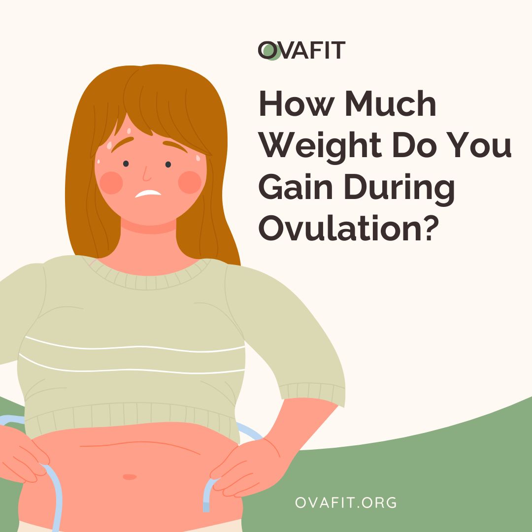 how much weight do you gain during ovulation