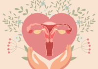 cartoon graphic of the reproductive system in a heart with hands under supporting