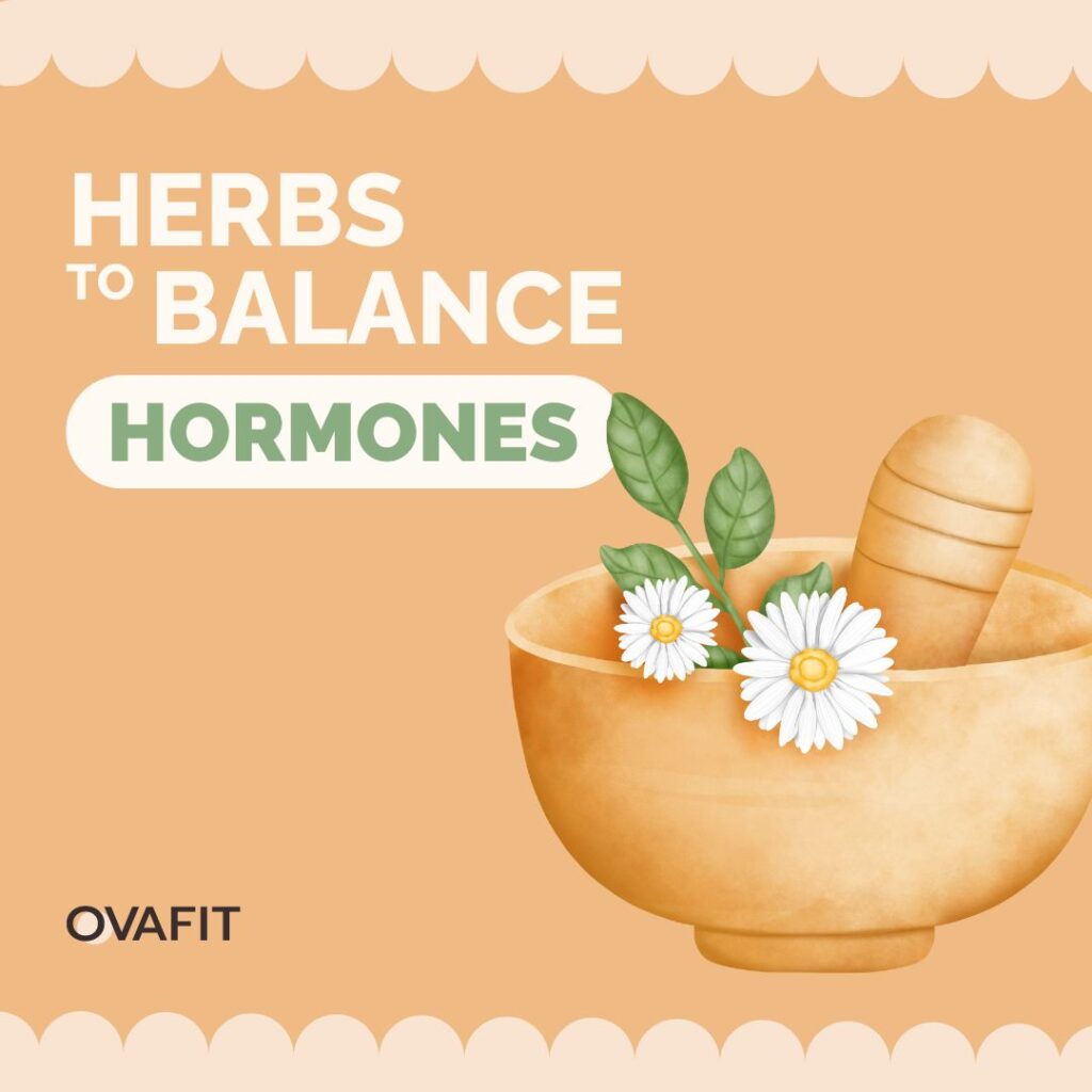 Herbs To Balance Hormones for PCOS