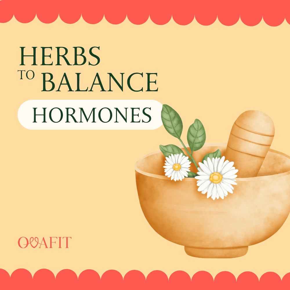 Herbs To Balance Hormones for PCOS Herbs To Balance Hormones for PCOS