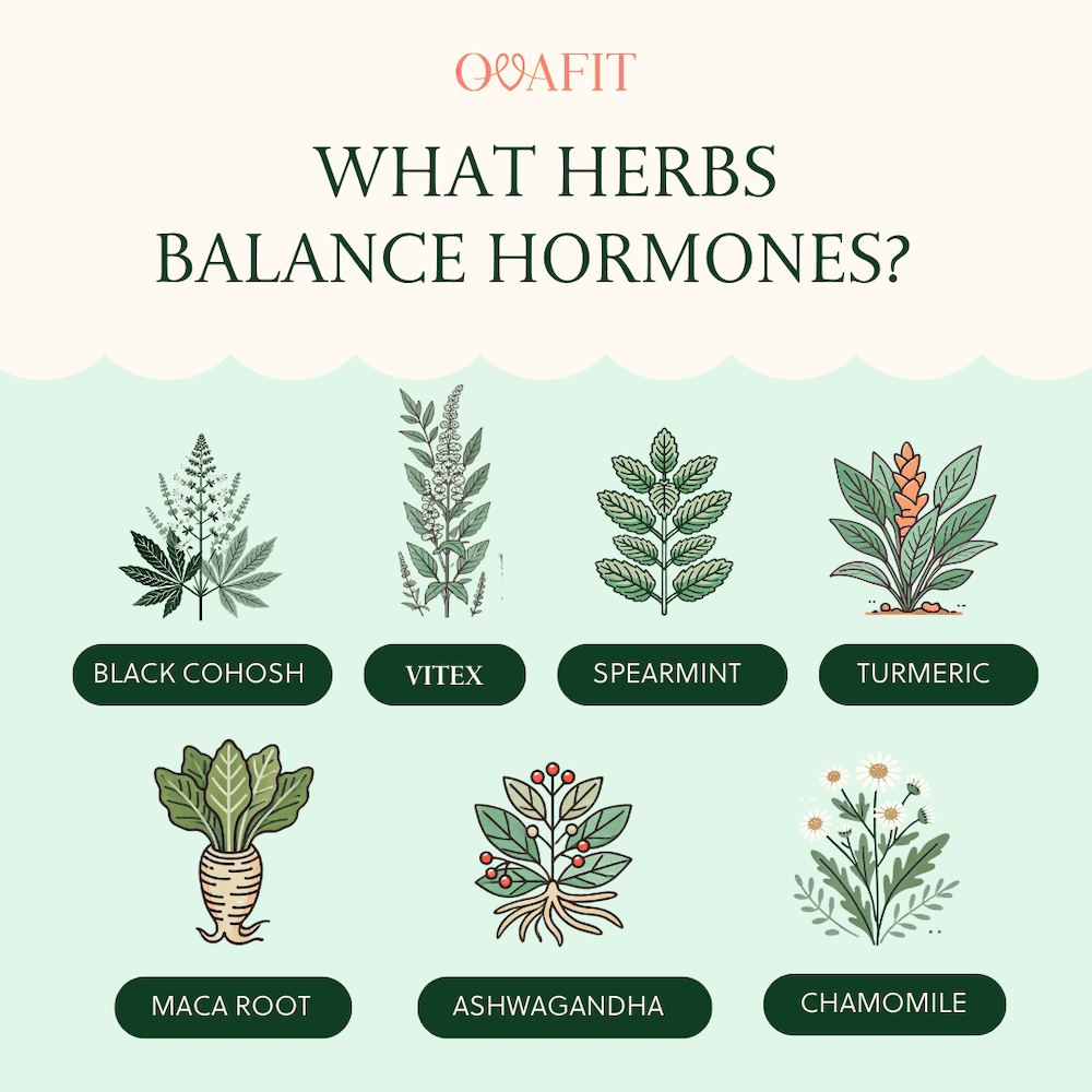 WHAT HERBS
BALANCE HORMONES?