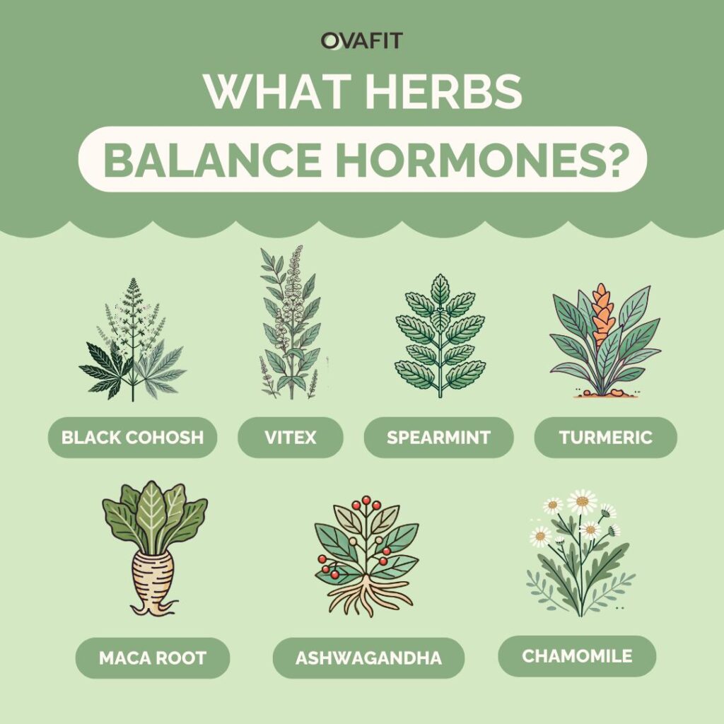 What Herbs Balance Hormones for PCOS?