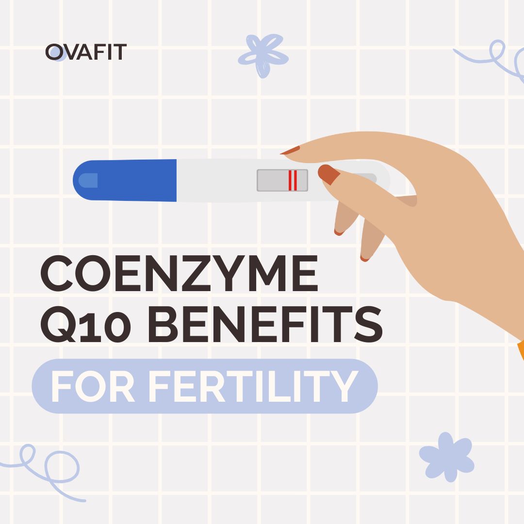 Coenzyme Q10 Benefits for Fertility