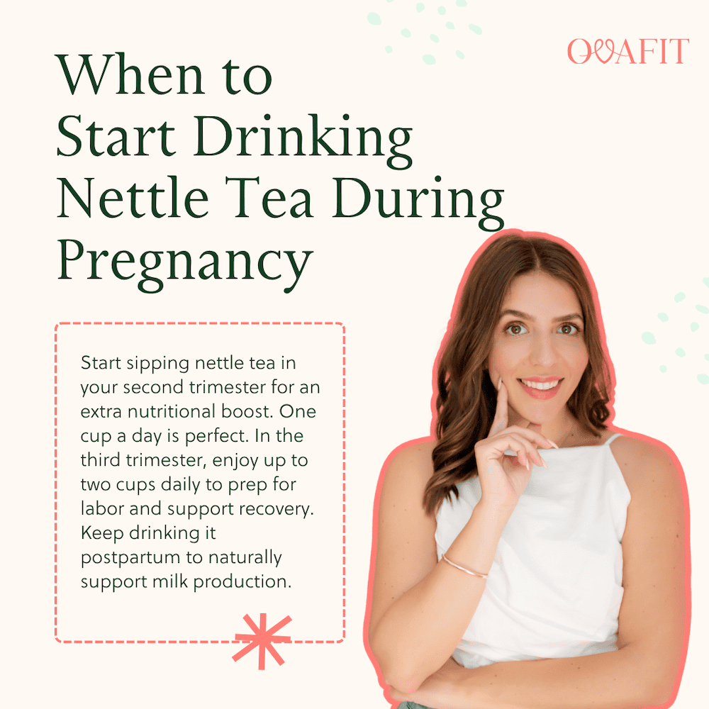 when to start drinking nettle tea during pregnancy when to start drinking nettle tea during pregnancy