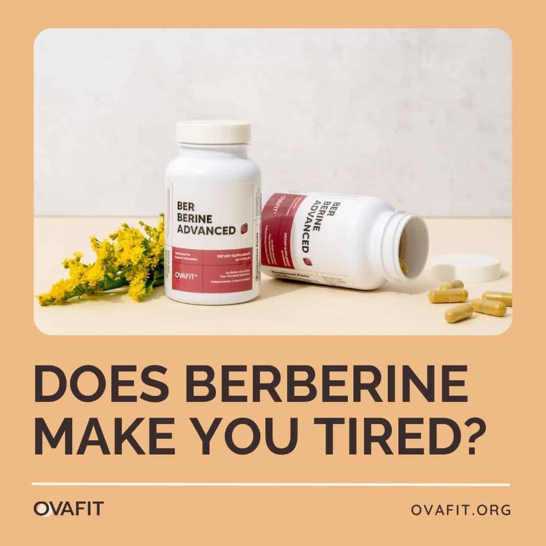 does berberine make you tired