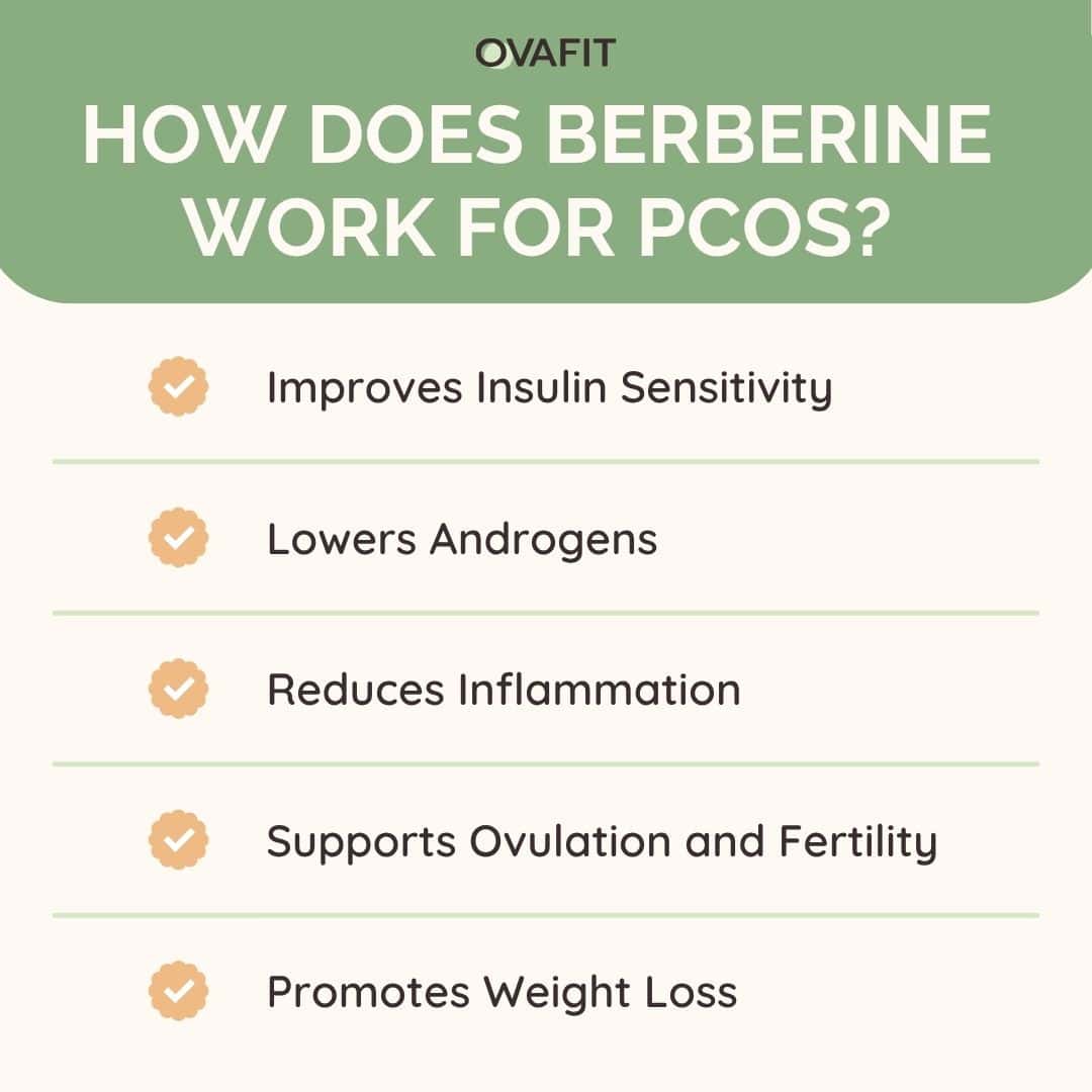how does berberine work for pcos