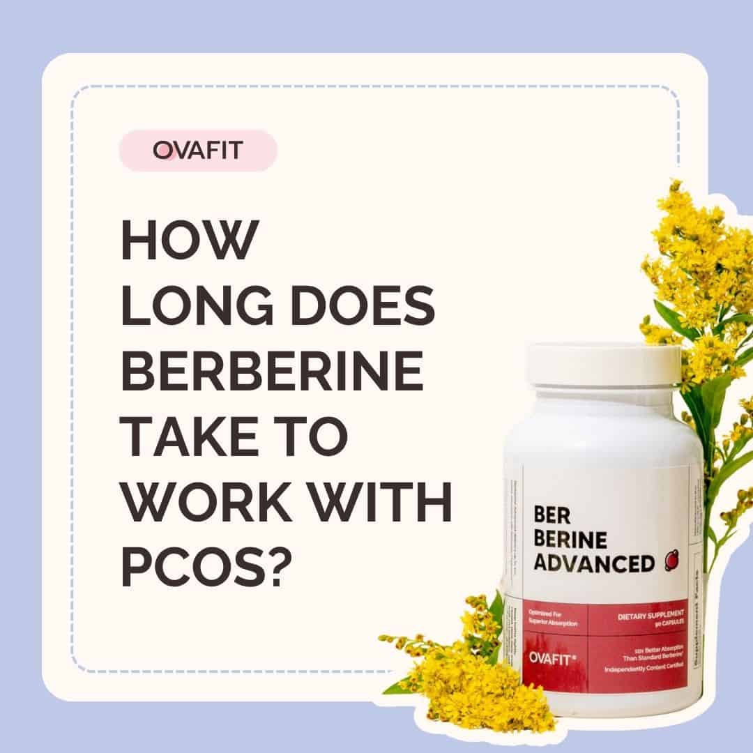 how long does berberine take to work with pcos how long does berberine take to work with pcos