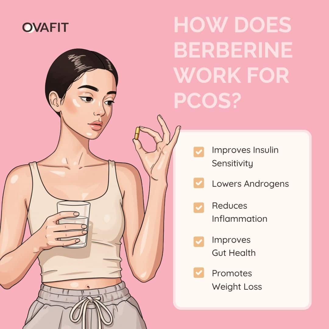 how does berberine work for pcos how does berberine work for pcos