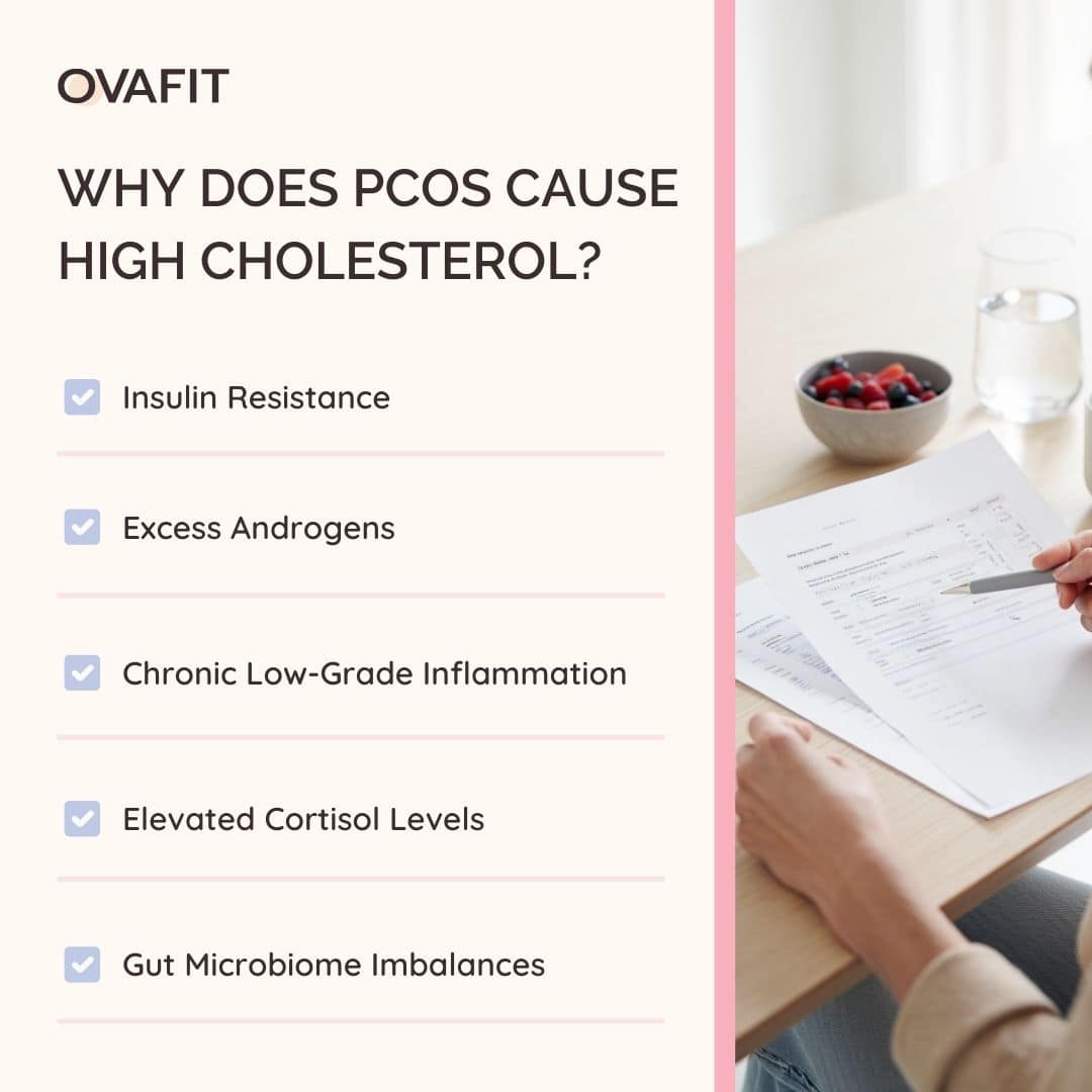 Why Does PCOS Cause High Cholesterol Why Does PCOS Cause High Cholesterol