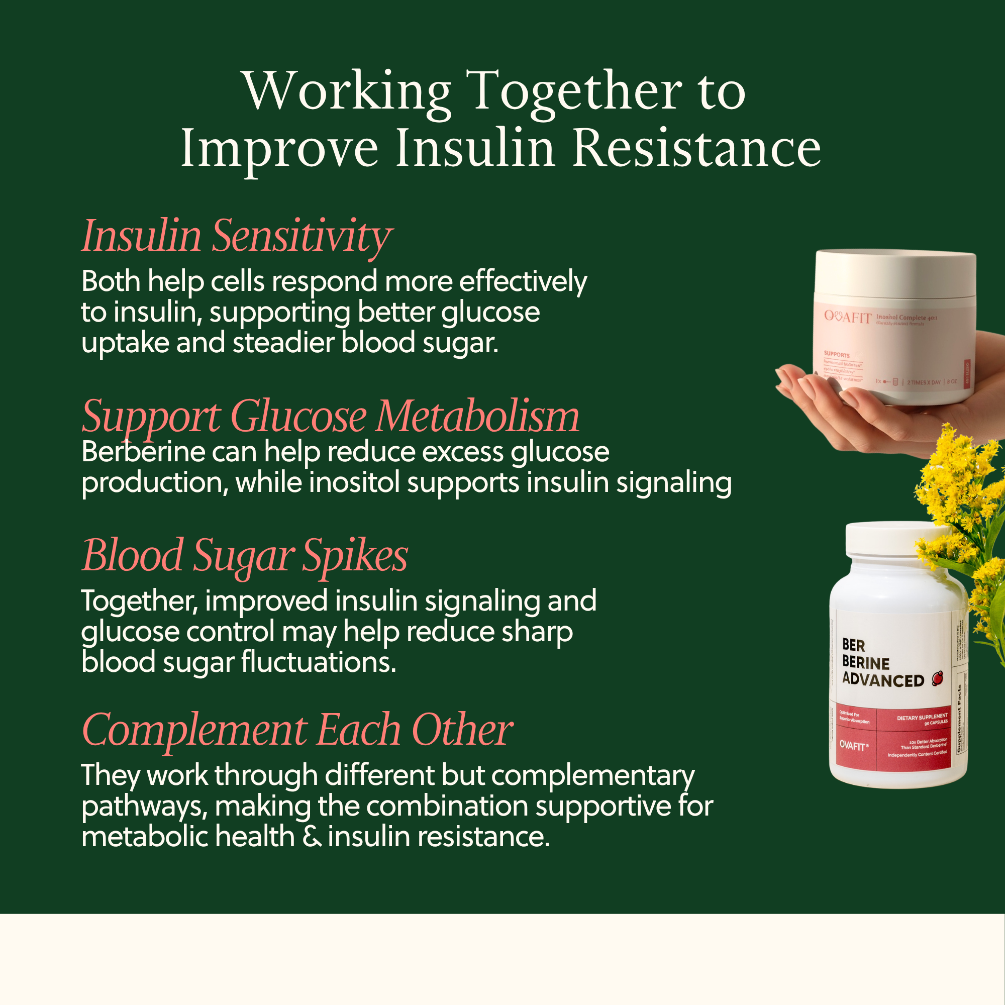 show bottles of supplements with text on how they work together